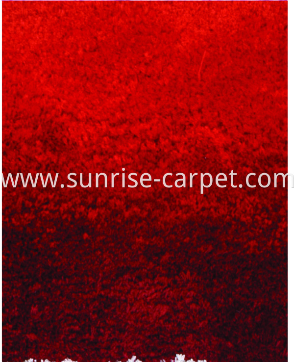 Microfiber Shaggy Gradient Color6